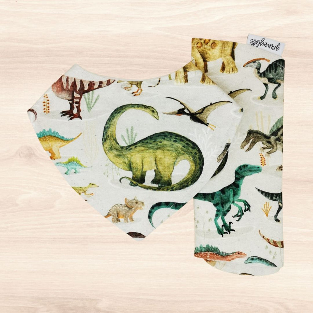 Dinosaur Buddies Dribble Bib & Dinosaur Buddies Burp Cloth
